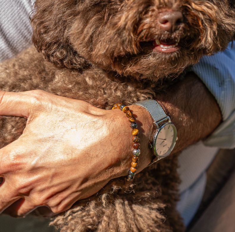 GRAV Tiger's Eye Men 4 Ezüst 925 Karkötő